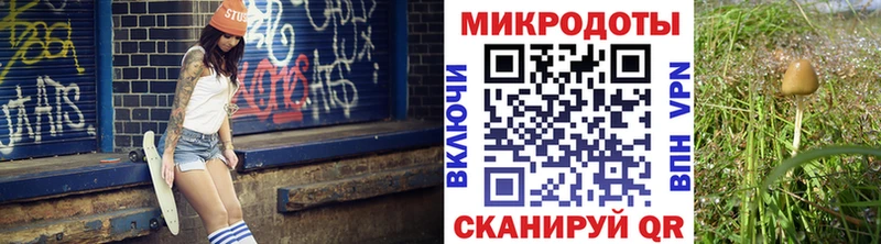 Псилоцибиновые грибы GOLDEN TEACHER  где купить наркоту  Поворино 